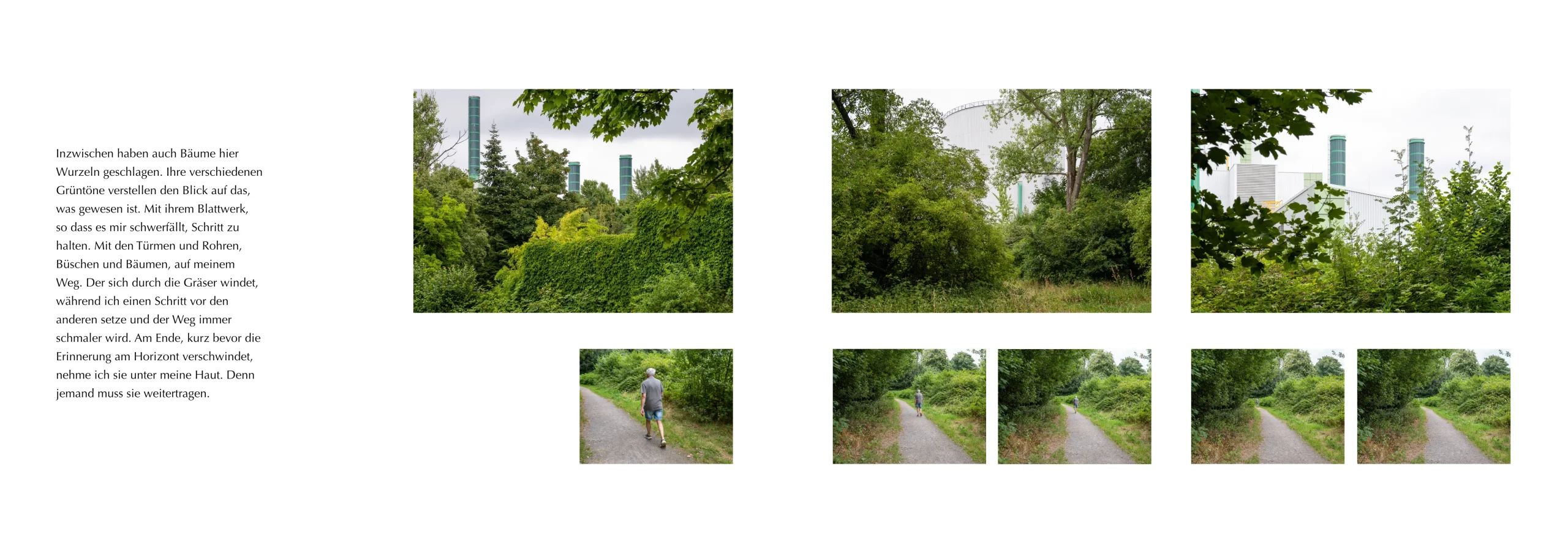 Feldbesichtigung, Bild 9