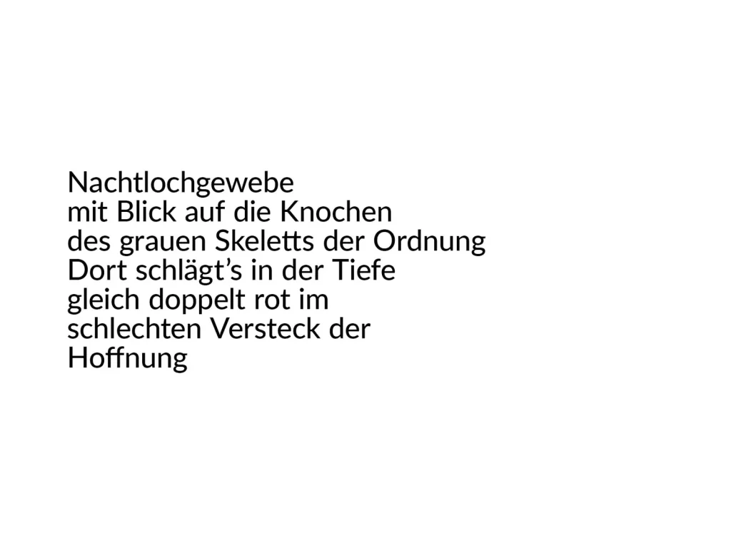 Erlaubnisfelder, Text 1