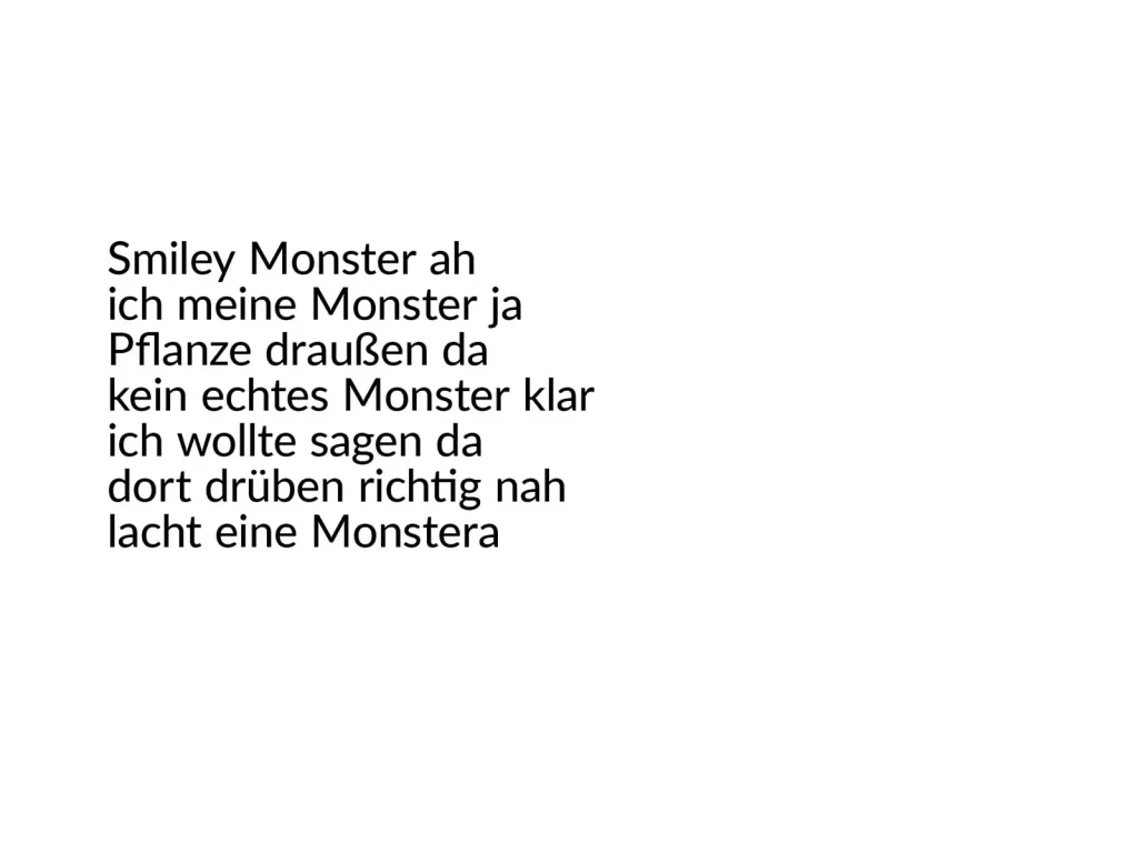 Erlaubnisfelder, Text 11