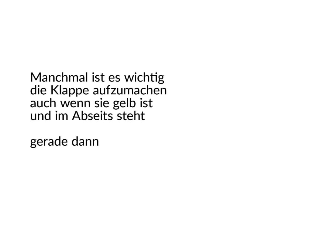 Erlaubnisfelder, Text 17