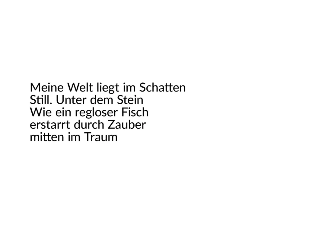 Erlaubnisfelder, Text 2