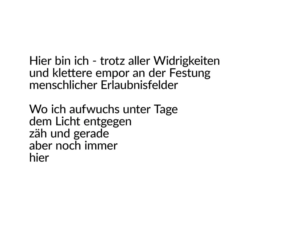 Erlaubnisfelder, Text 3