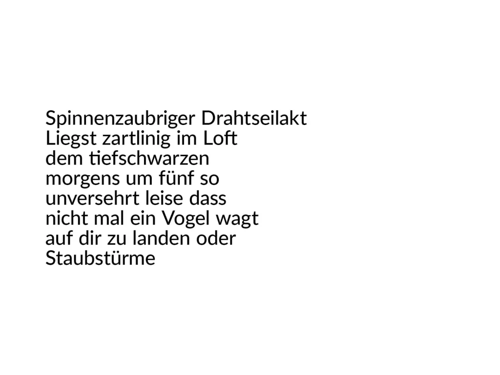 Erlaubnisfelder, Text 4