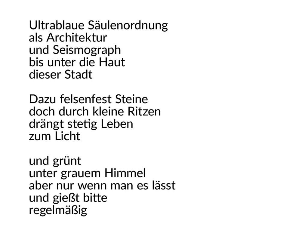 Erlaubnisfelder, Text 6