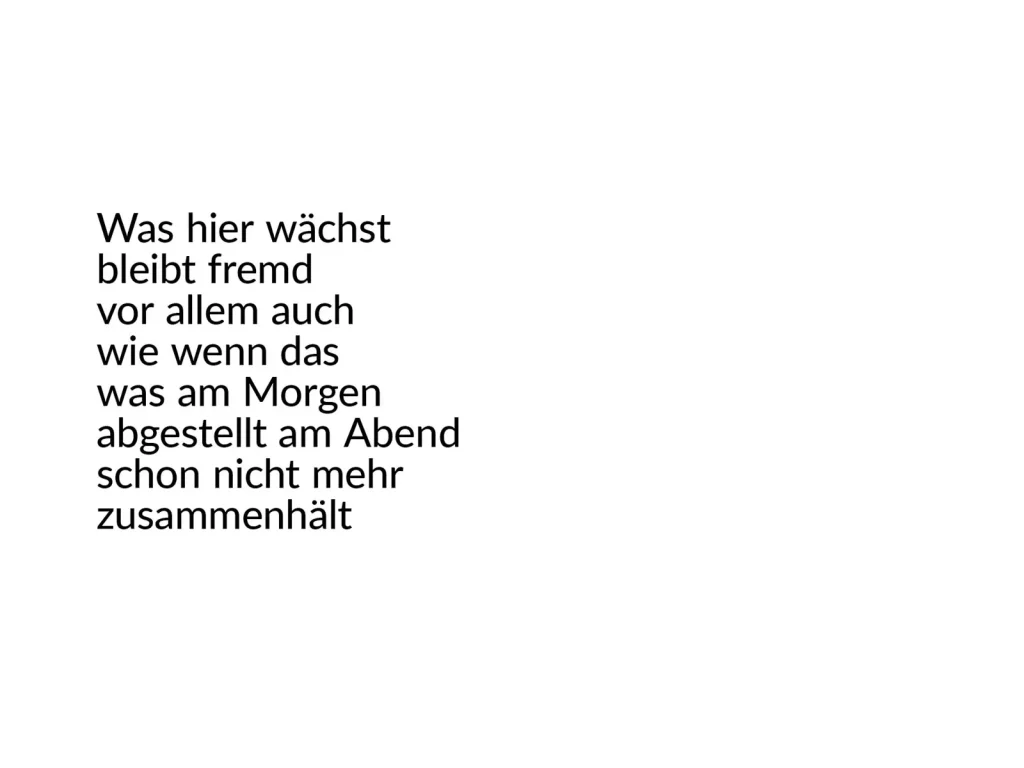 Erlaubnisfelder, Text 8